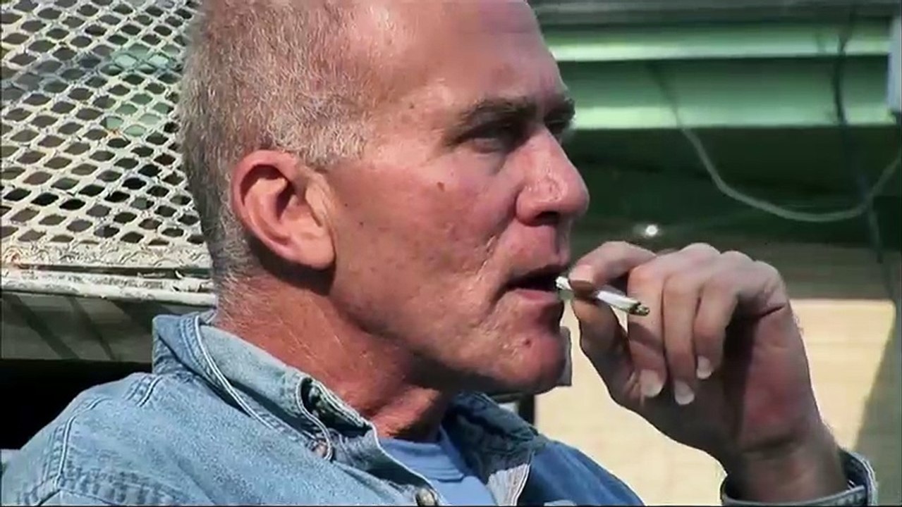 Age of Stupid Trailer DF