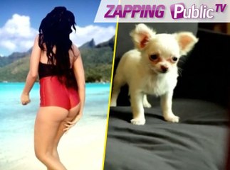 Zapping PublicTV n° 316 : Le petit journal se moque de Nabilla !