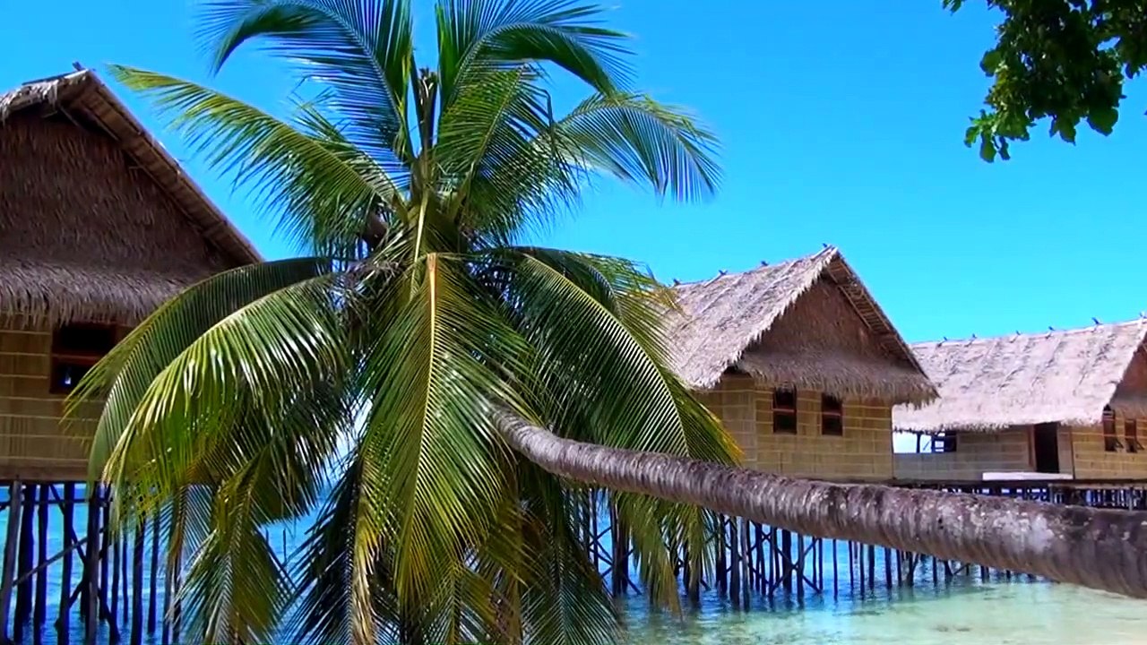 Papua 3D - Die geheimnisvolle Insel der Kannibalen Trailer DF