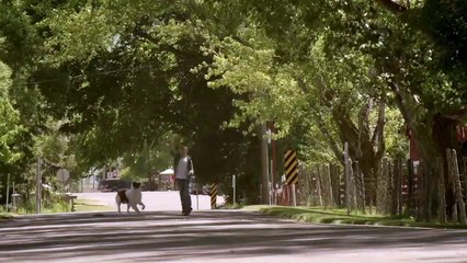 Pluto - Ein Schutzengel auf vier Pfoten Trailer (2) OV