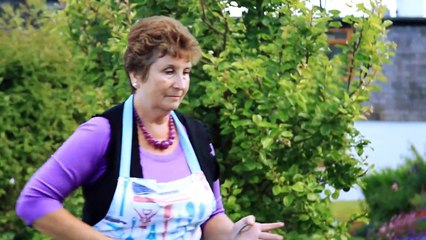 Attack of the Nazi Herbals Teaser OV