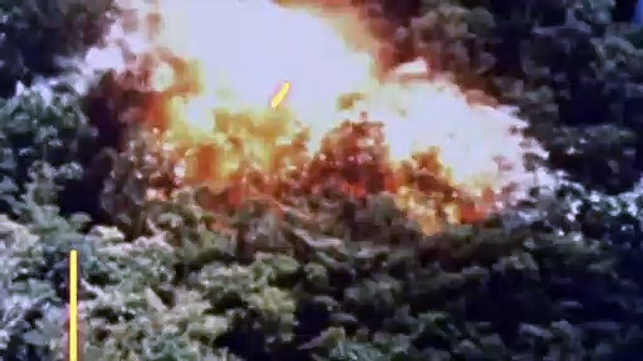 1971: El año en el que la música lo cambió todo Tráiler