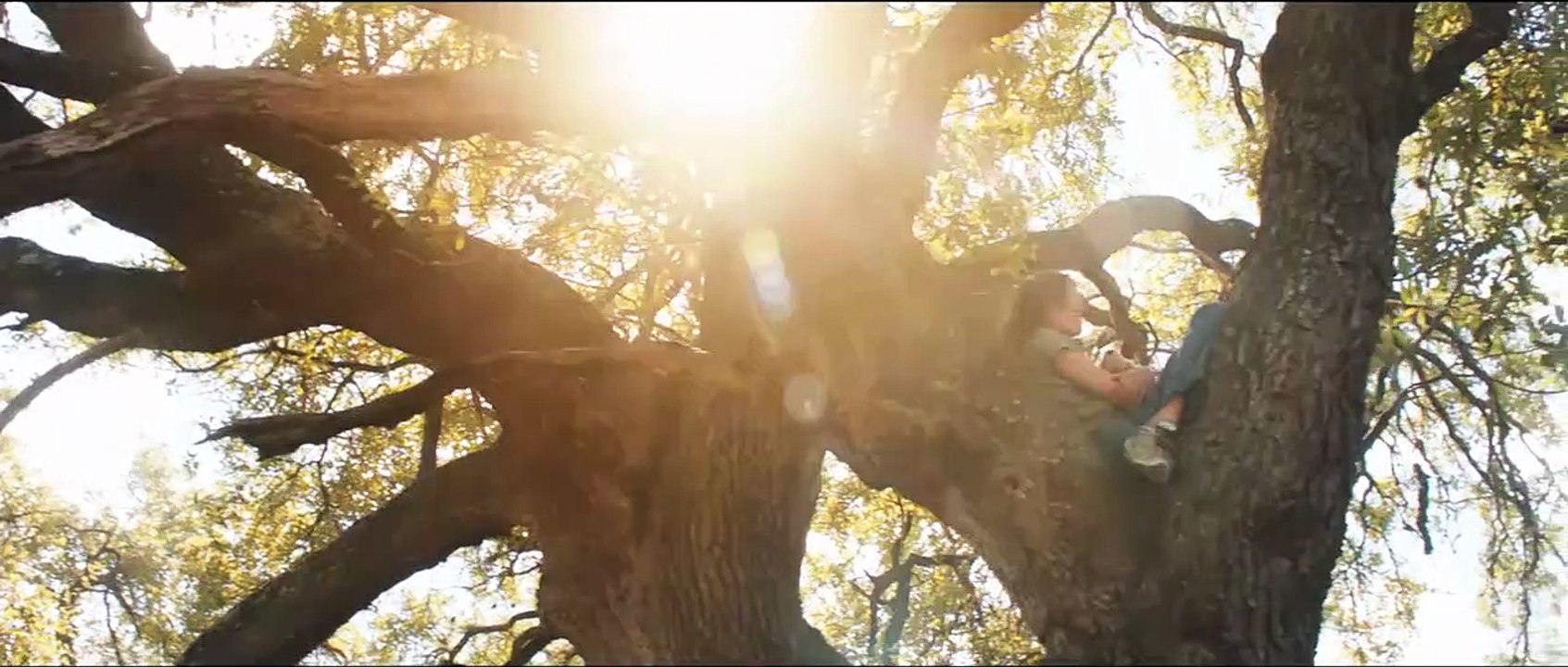 Joe - Die Rache ist sein Trailer DF