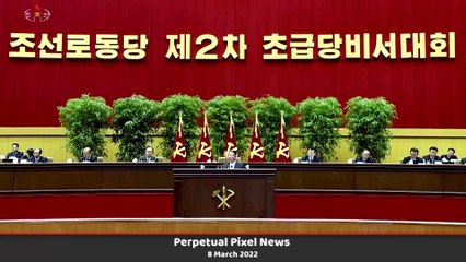 PPN World News - 8 Mar 2022 • Ukraine Russia invasion • Separatist commander killed • Oil embargo