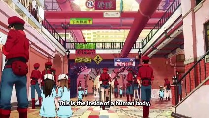 Cells at Work! Tráiler VOS