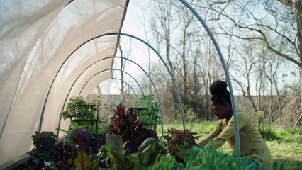 Queen Sugar Trailer OV