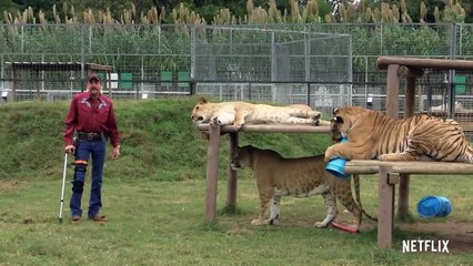 Tiger King - temporada 2 Teaser VOSE