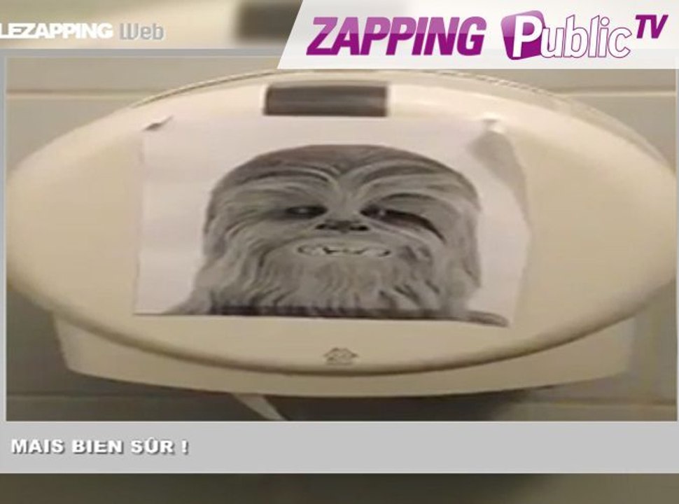 Zapping Web : Chewbacca dans vos toilettes, un bébé génie et des chiens surfeurs !