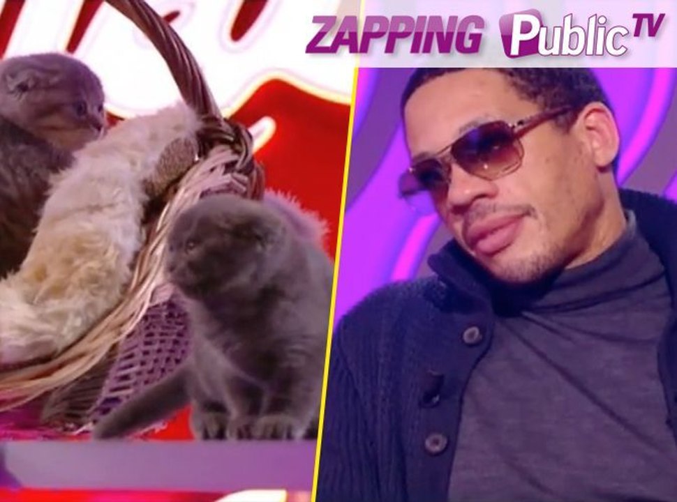 Zapping PublicTV n°252 : JoeyStarr : "Je sortirais mon biscuit pour arroser des chatons !"
