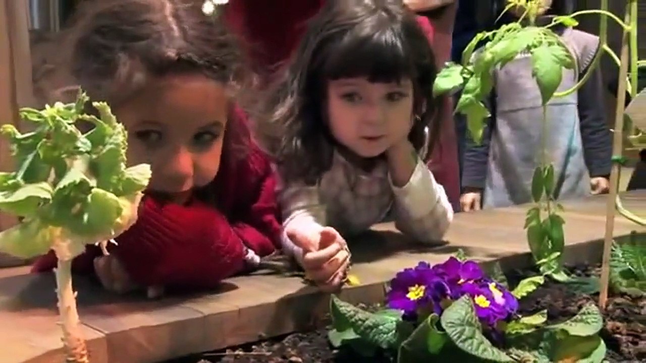 Being and Becoming Trailer (2) OV