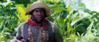 Jumanji: Willkommen im Dschungel Trailer (3) DF