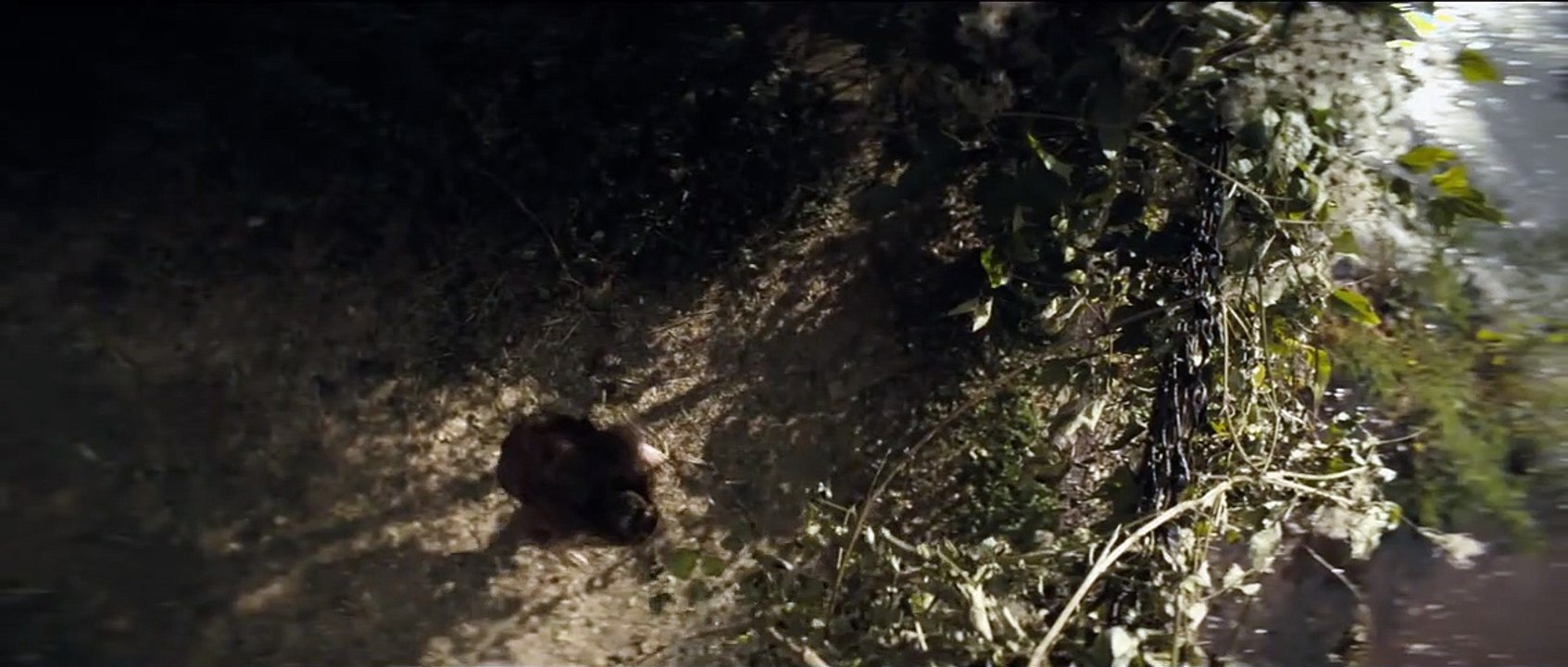 No respires 2 Trailer