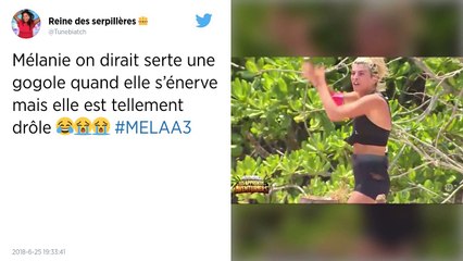 Revue de Tweets : MELAA 3 : Nikola déclare la guerre à l'équipe blanche