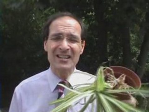 Rising sea levels threat from global warming