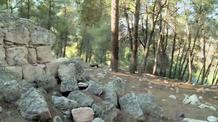 The Village Under The Forest Trailer OV