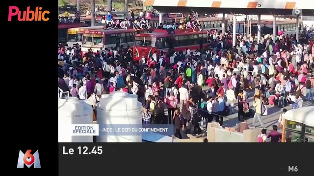 Le zapping : Quand les animaux profitent du confinement pour envahir les villes