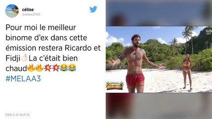 Revue de tweets : Milla (MELAA 3) prend cher sur la Toile !
