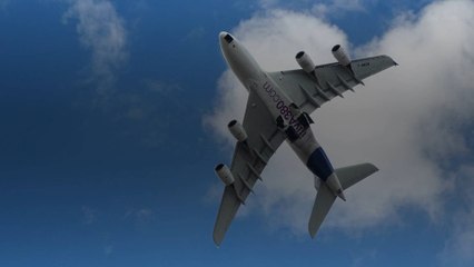 Le film Rien à foutre met en lumière les hôtesses de l'air des compagnies low-cost