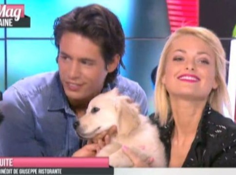 Public Zap : Island, la nouvelle mascotte du Mag qui fait grimper les audiences !