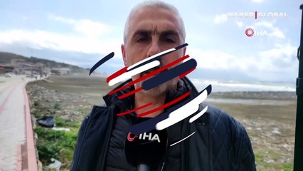 Hatay'da sahile vurdular! Uzmanlardan 'çok zehirli' uyarısı