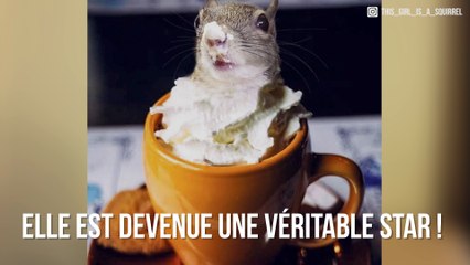 Alerte cute : Découvrez Jill, l’écureuil qui fait fondre Instagram !