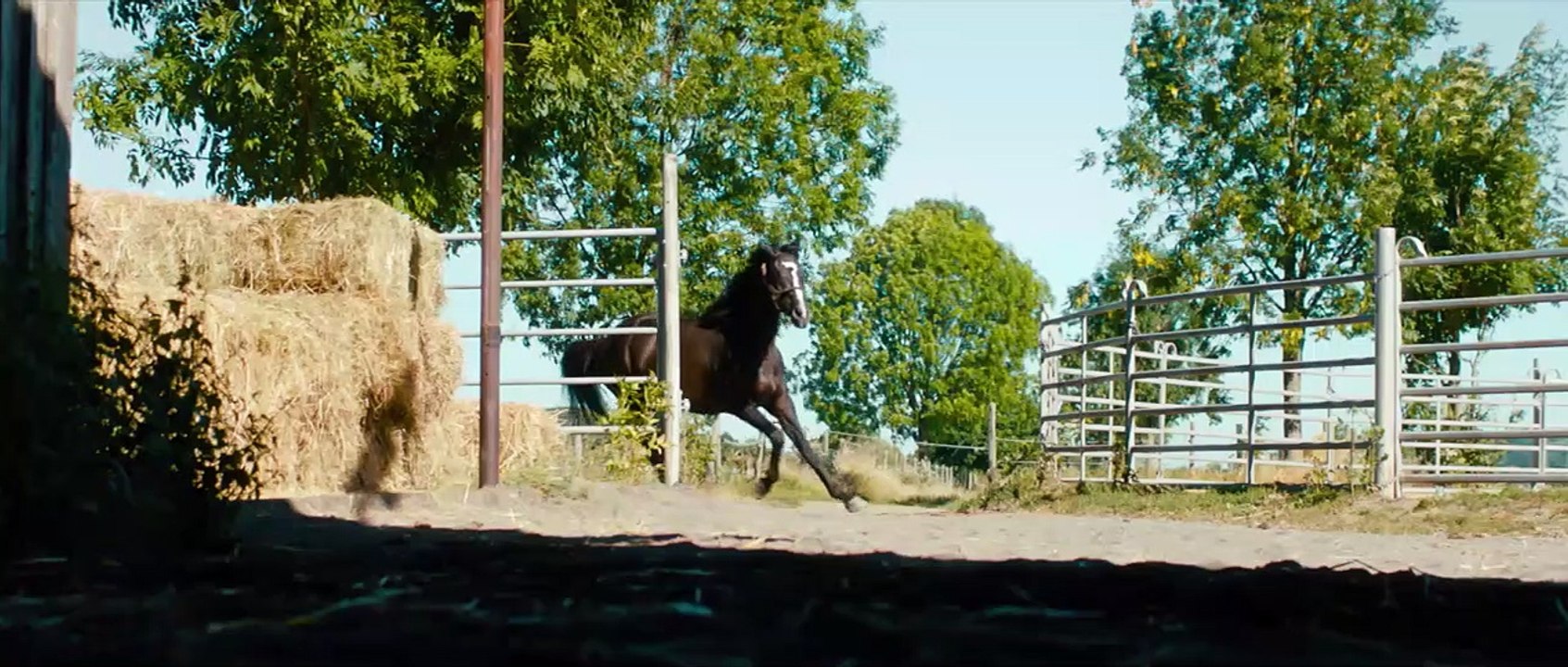 Rock My Heart Trailer DF