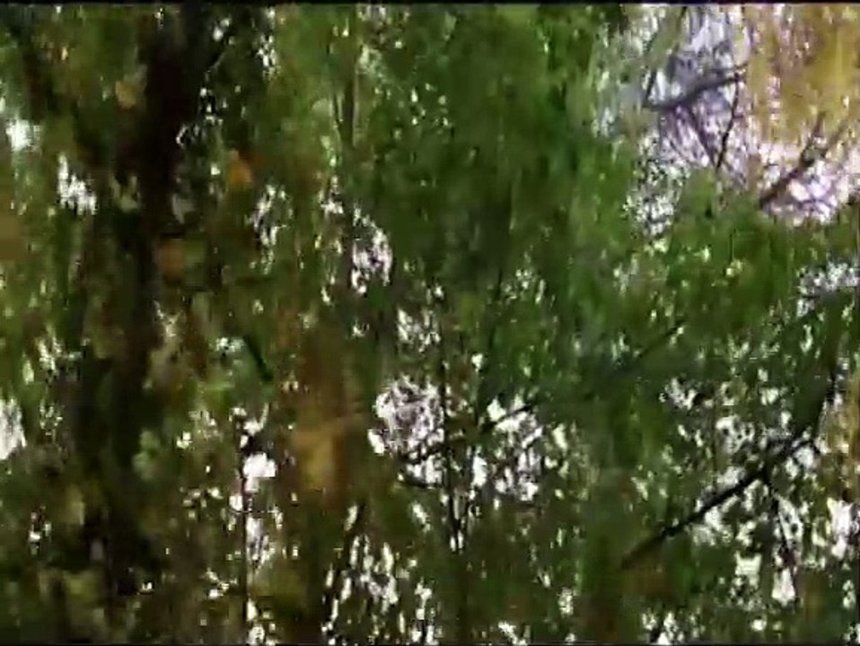 Die doppelte Stunde Trailer DF