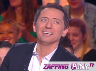 Zapping PublicTV n°601 : TPMP : un gibbon jouit devant Gad Elmaleh !