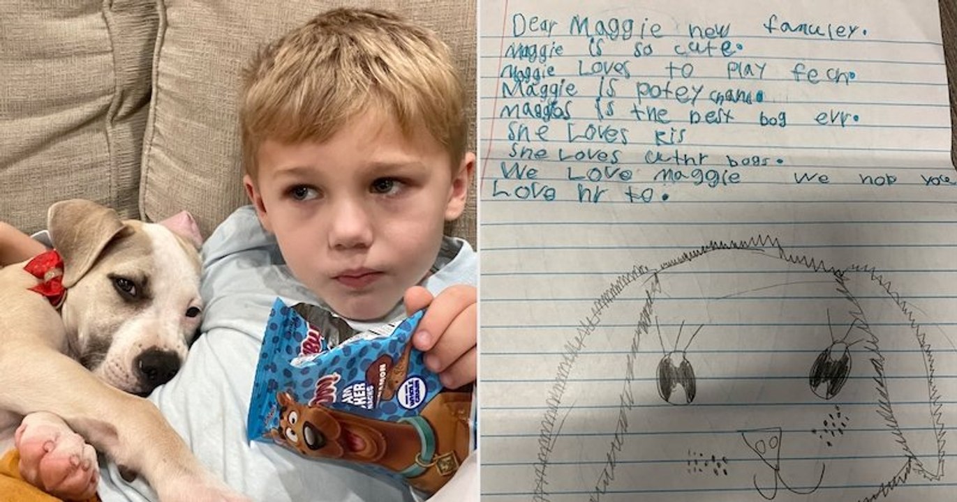 À 6 ans, il écrit des lettres vantant le caractère aimant d'une chienne issue d'un refuge pour faciliter son adoption