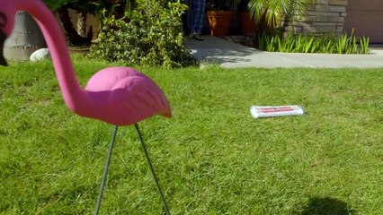 Brooklyn Nine-Nine - staffel 4 Trailer OV