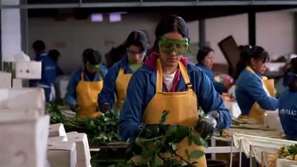 Maria voll der Gnade Trailer DF