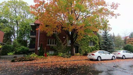 AMAZING VIEW OF STREETS AND HOUSES