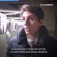 Covid-19 e fase endemica: come comportarsi nel 2022