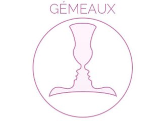 GÉMEAUX : Vous prendrez des mesures draconiennes