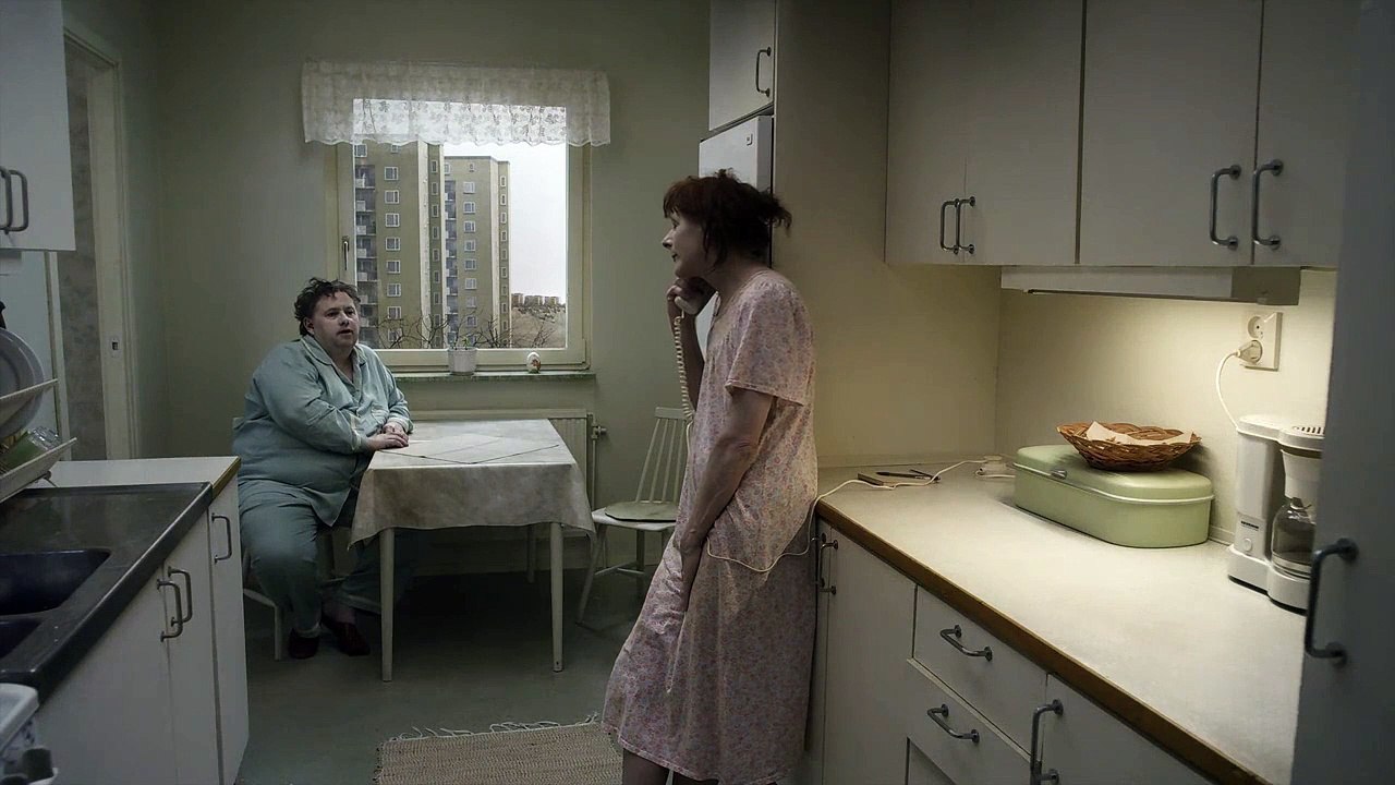 Eine Taube sitzt auf einem Zweig und denkt über das Leben nach Trailer DF