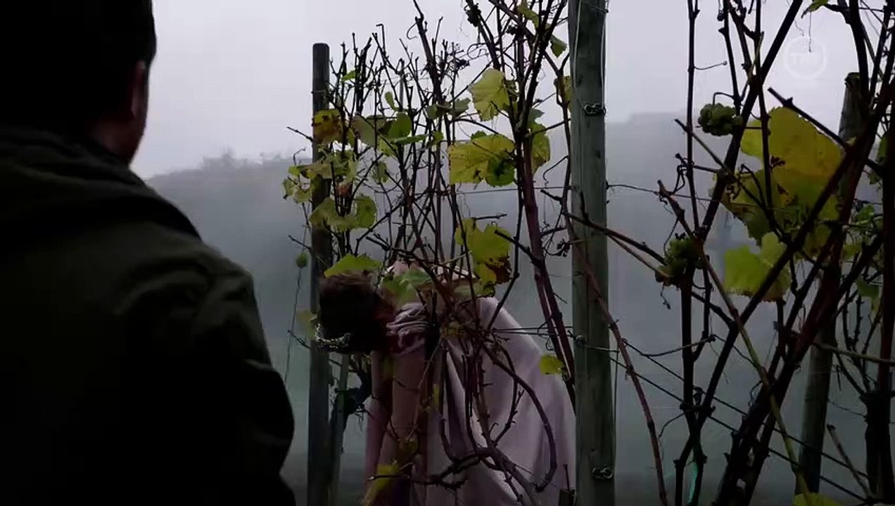 Weinberg - Im Nebel des Schweigens Trailer DF