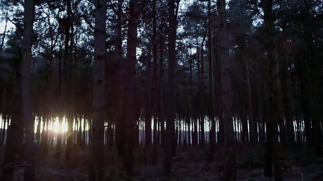 Entity Trailer OV