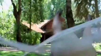 Chaos auf 4 Pfoten - Sommer mit Hund Trailer OV