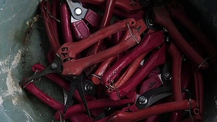 Von Trauben und Menschen Trailer OmU