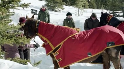 Ruf der Pferde - Ein Mädchen folgt seinem Herzen Trailer DF