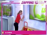 Zapping Public TV n°831 : Anne-Sophie Lapix : elle se fait poser un lapin en direct !