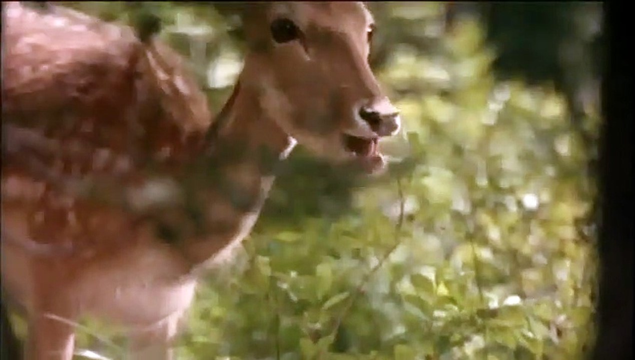 Thumbsucker - Bleib wie du bist! Trailer DF