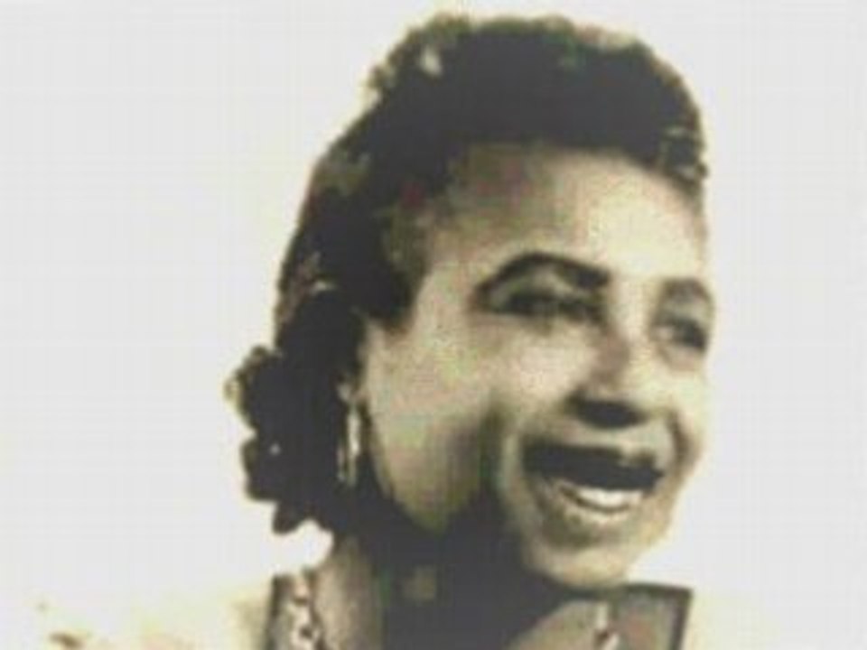 Memphis Minnie "Bumblebee blues" Movie Animation