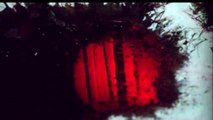 Twin Peaks - staffel 3 Teaser (2) OV