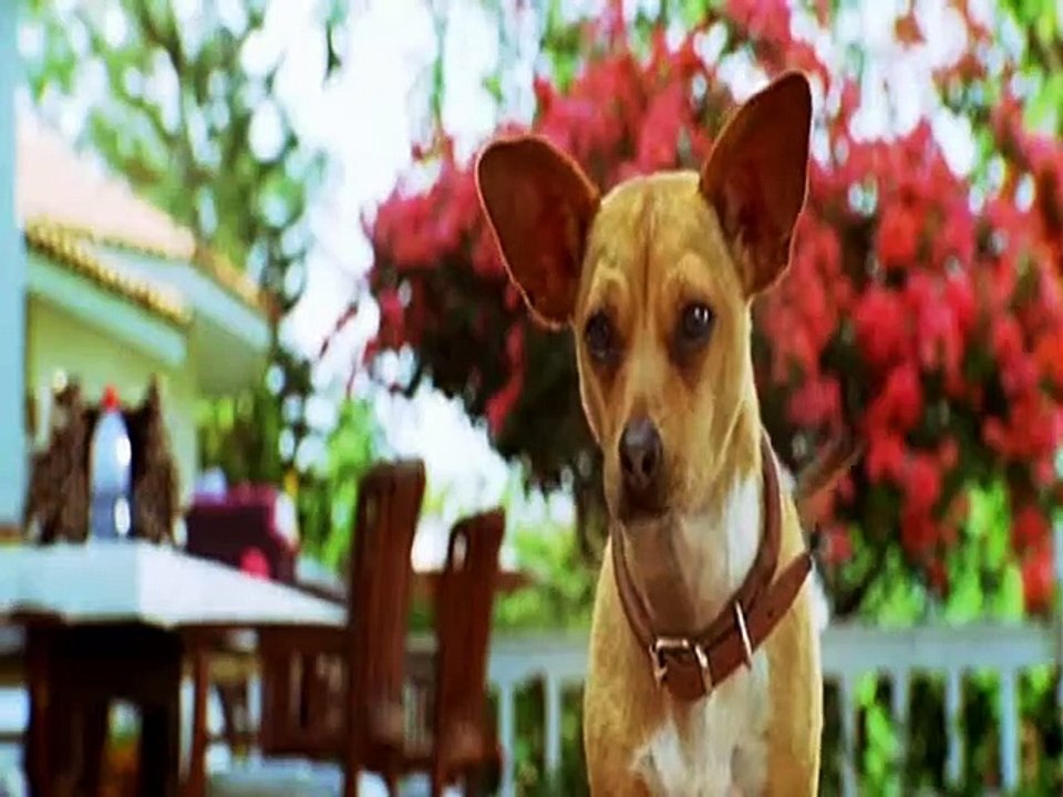 Beverly Hills Chihuahua Trailer DF