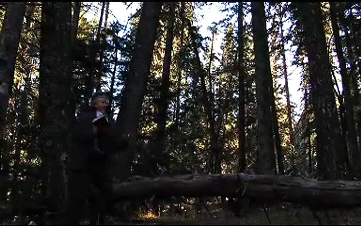 Broken Bullet Trailer OV