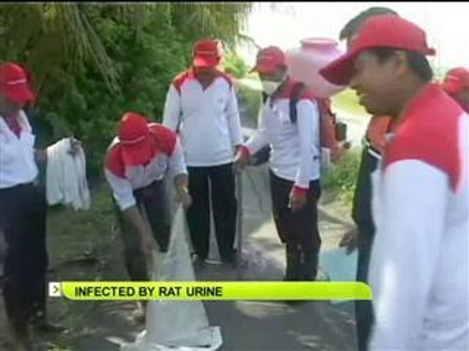 Infected by rat urine