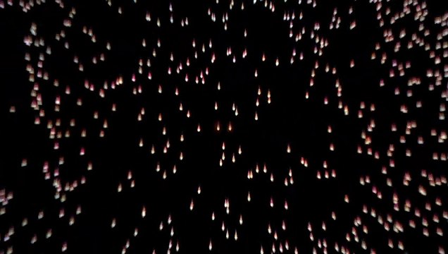 Der Junge und das Biest Teaser OV