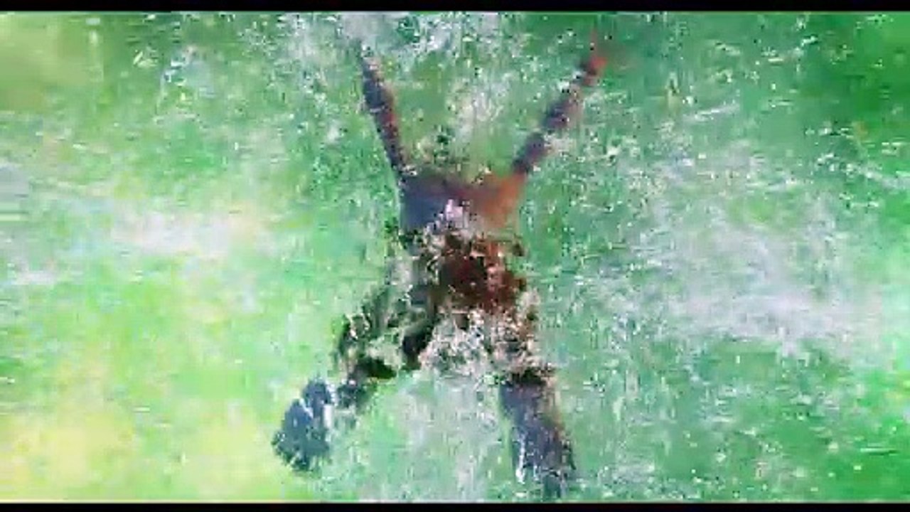 Hotel Transsilvanien Trailer (2) DF