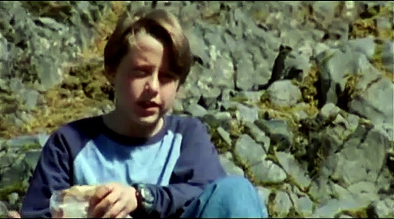 Mean Creek Trailer DF